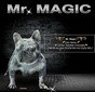 TYS Mr Magic